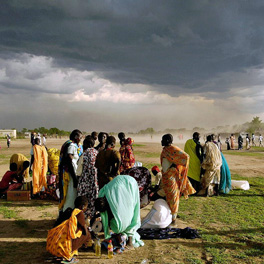 People in field
